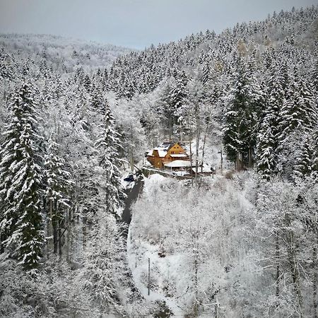 Pensjonat Alpejski Dwor Miedzygorze Exterior photo