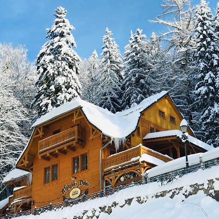 Pensjonat Alpejski Dwor Miedzygorze Exterior photo