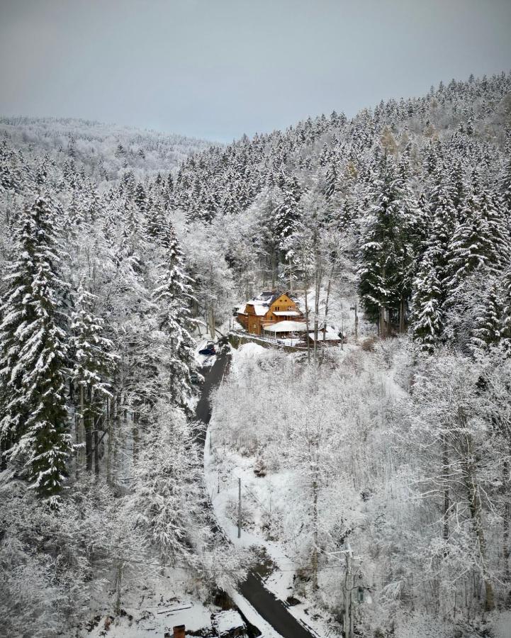 Pensjonat Alpejski Dwor Miedzygorze Exterior photo