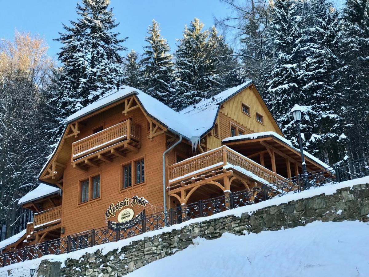 Pensjonat Alpejski Dwor Miedzygorze Exterior photo