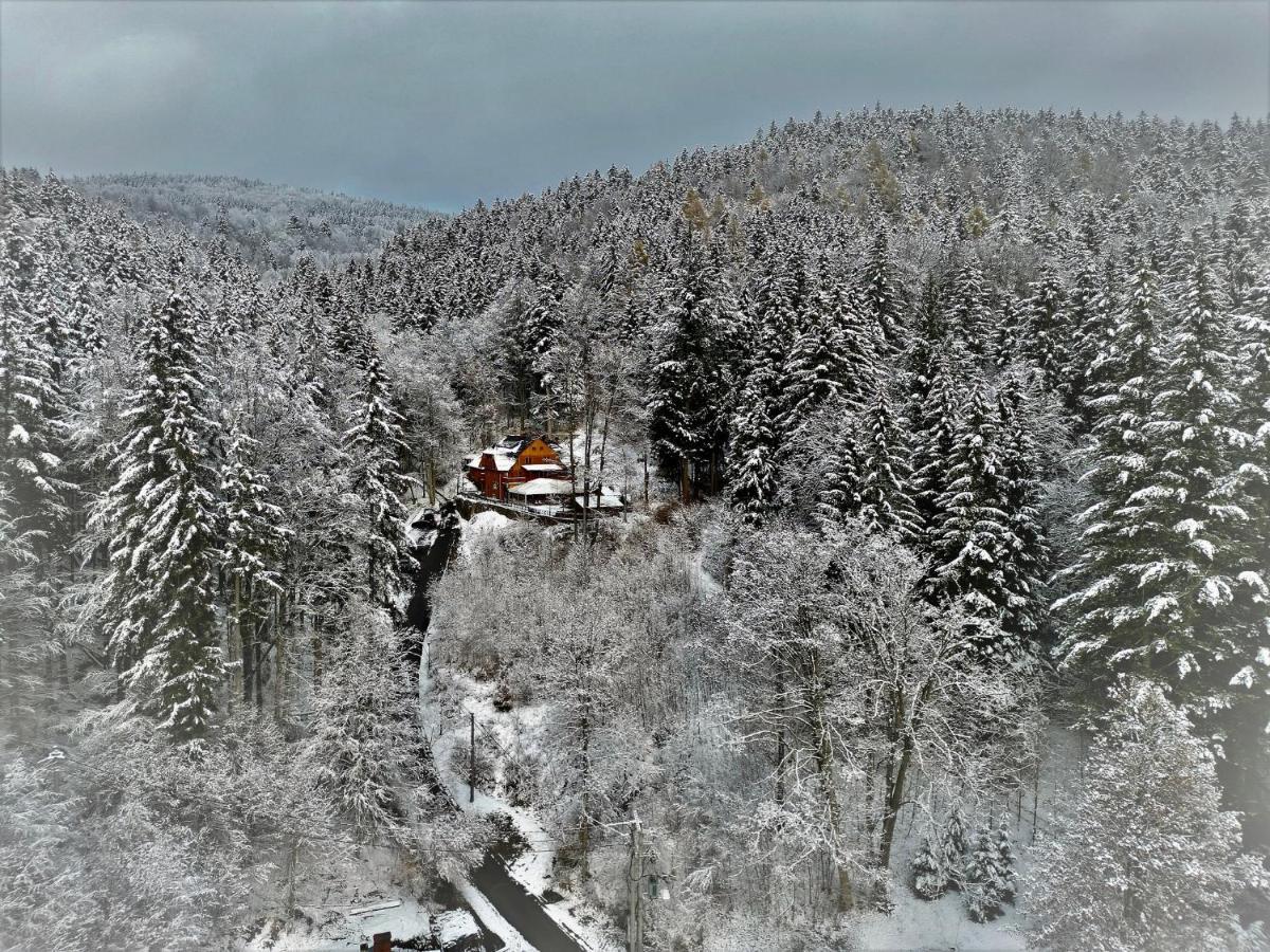 Pensjonat Alpejski Dwor Miedzygorze Exterior photo