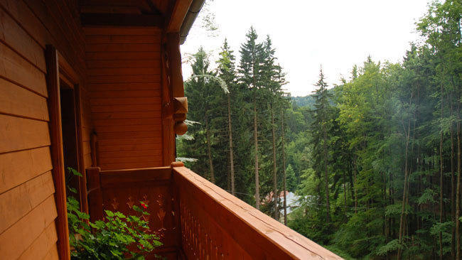 Pensjonat Alpejski Dwor Miedzygorze Exterior photo