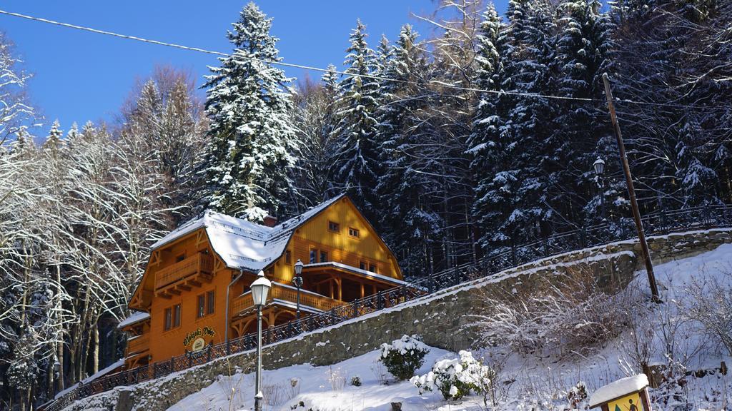 Pensjonat Alpejski Dwor Miedzygorze Exterior photo