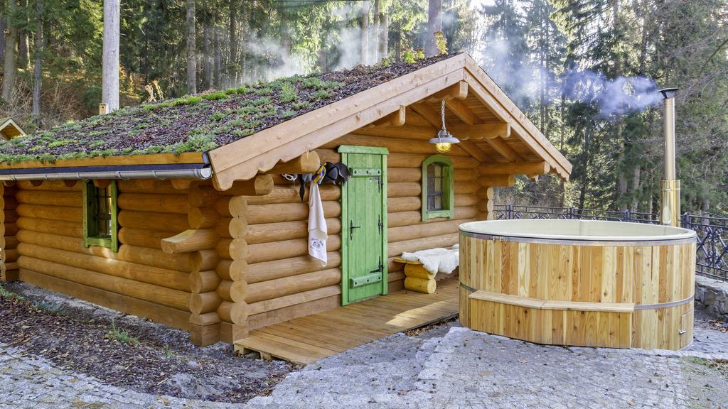 Pensjonat Alpejski Dwor Miedzygorze Exterior photo