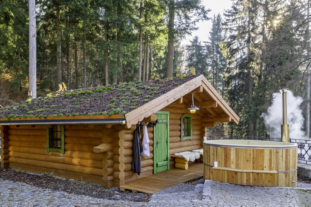 Pensjonat Alpejski Dwor Miedzygorze Exterior photo