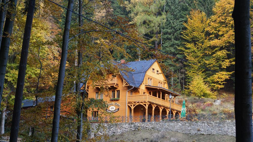 Pensjonat Alpejski Dwor Miedzygorze Exterior photo
