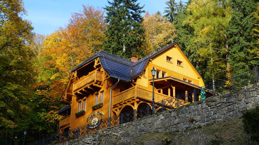 Pensjonat Alpejski Dwor Miedzygorze Exterior photo